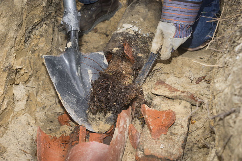 sewer replacement Sussex county nj