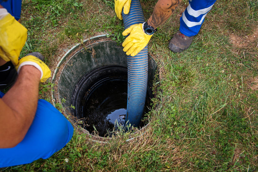 septic service branchville nj