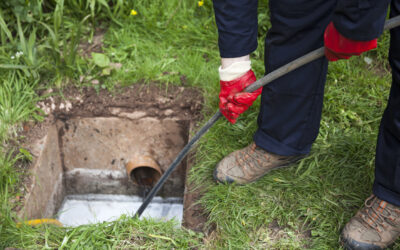8 Signs You Need Sewer Repair