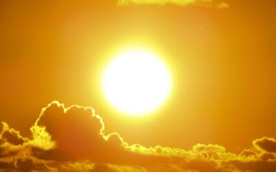 Can Heatwaves Affect Your Septic System? What NJ Homeowners Should Know